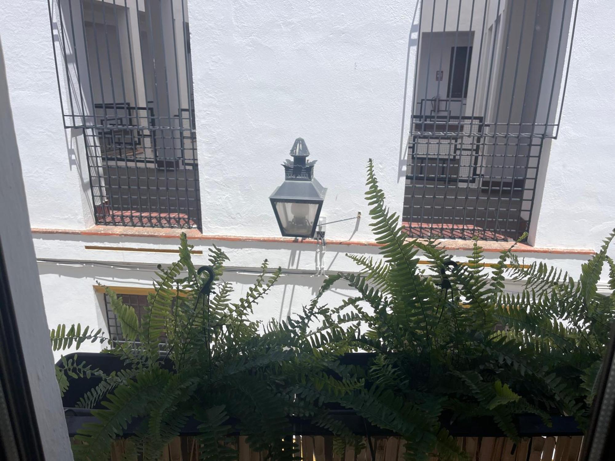 Mucho Trigo Apartments New Córdoba Exterior foto